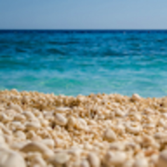 Meet your Posher, Gargi - Picture 1 of 1